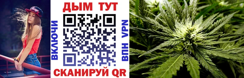Каннабис план  Кондопога 